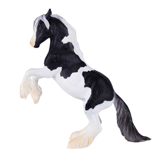 Mojo Gypsy Vanner hingst