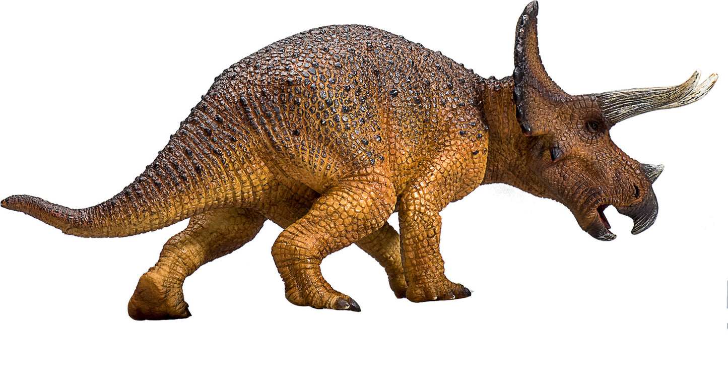 Mojo Triceratops