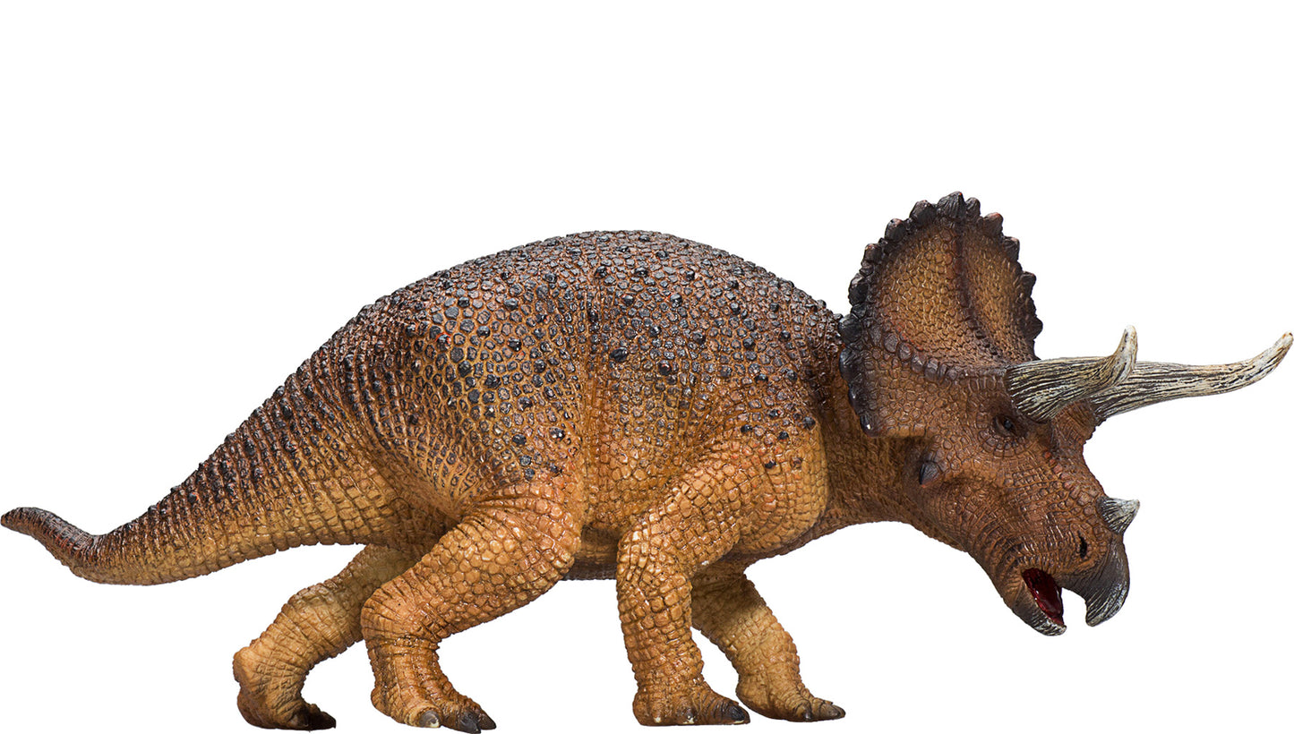 Mojo Triceratops